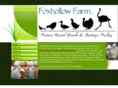 foxhollowpoultryfarm.com