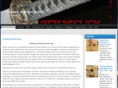 gentenkaratejutsu.com