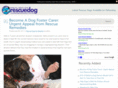 rescuedog.co.uk