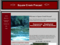 squawcreekprecast.com