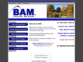 baminternet.com