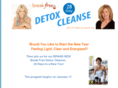 breakfreedetox.com