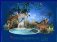 poolsidebengals.com