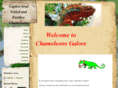 chameleonsgalore.com