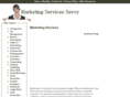 marketing-services-savvy.com