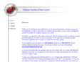 palomartermite.com