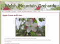 welshmountaincider.com