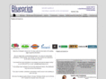 blueprintleisure.com
