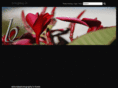 eblondiephotography.com