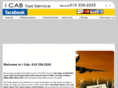 theicab.com