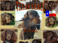 boykinspaniels.biz