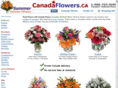 canadaflowers.biz