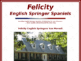 felicityenglishspringers.com