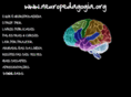 neuropedagogia.org