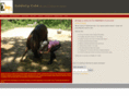 saddleupcobb.org