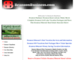 bransonbusiness.com
