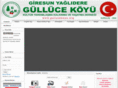 gullucekoyu.org