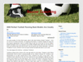 soccer-coaching.org