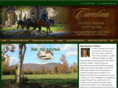 carolinahorsefarmsandmore.com
