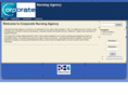 corporatenurses.com