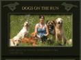dogsotr.com