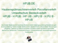 hpub.de