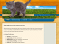inhomepropetservices.com