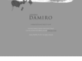 studiodamiro.com