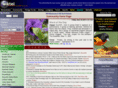 wiktel.com