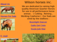 wilsonhorsesinc.com