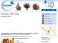 bluemoonflowerspa.com