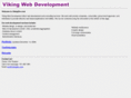 vikingdev.com