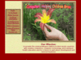 chcg.org