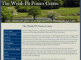 visitpitponies.co.uk
