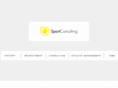 agsportconsulting.com