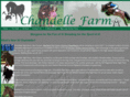 chandellefarm.com