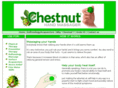 chestnutmassage.com
