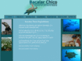 bacalarchico.org