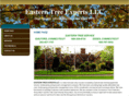 cttreeexperts.com