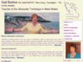 dolphinalexander.com