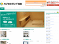 future-capsule.com