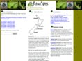 kiwistays.com
