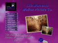 lifemoments.org