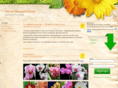 orchidgrowingonline.com