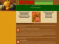 wonderfulthanksgiving.com