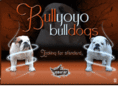 bullyoyo.com