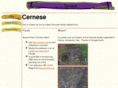 cernese.com