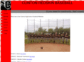 clintonbaseball.com