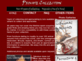 curiocollection.com