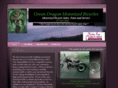 greendragonmotorizedbicycles.com
